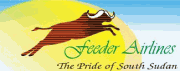 Feeder Airlines (Фидер Эйрлайнз)